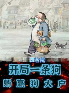 四合院开局一个好人