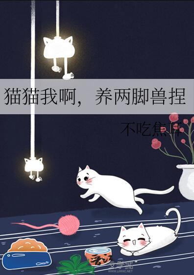 猫猫我呀